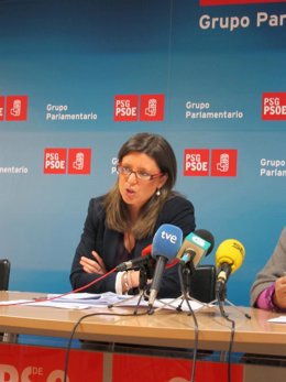 La Socialista María José Caride