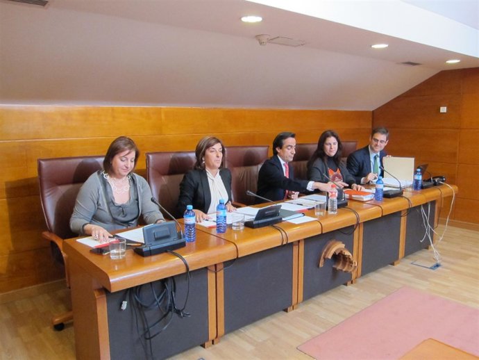 Comisión De Sanidad Y Servicios Sociales 