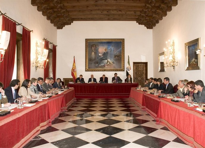 Pleno De La Diputación Provincial De Cáceres