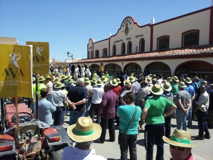 Marcha Verde Entre Cheste Y Chiva