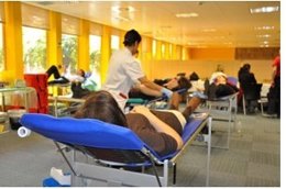 Los Colaboradores De Novartis Durante El Desempeño De Una Actividad