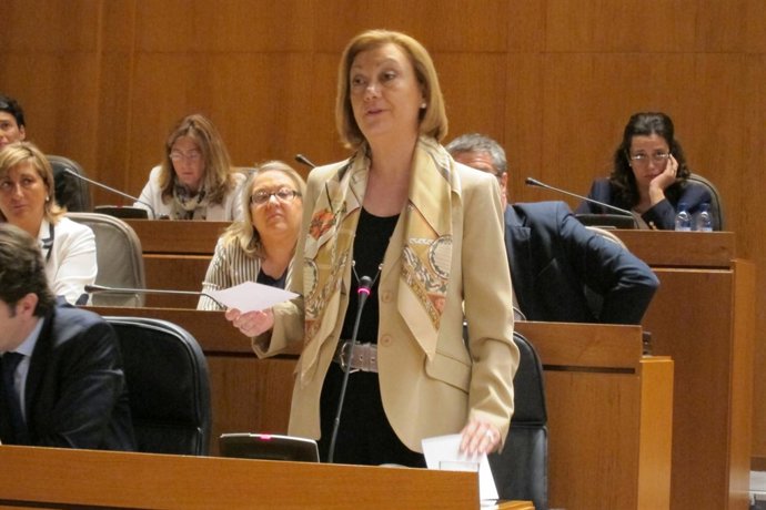 Luisa Fernanda Rudi, Durante Su Intervención