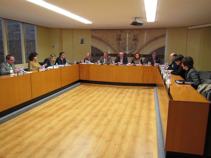 Comparecencia De Salud En El Parlamento De La Rioja