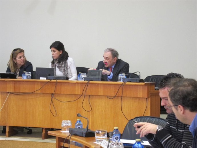 El director de la CRTVG, Alfonso Sánchez Izquierdo en comisión