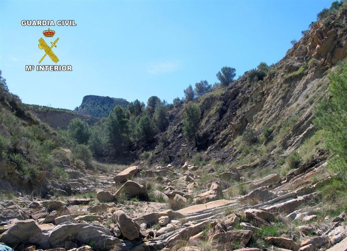 Paraje Donde Se Produjo El Incendio Provocado