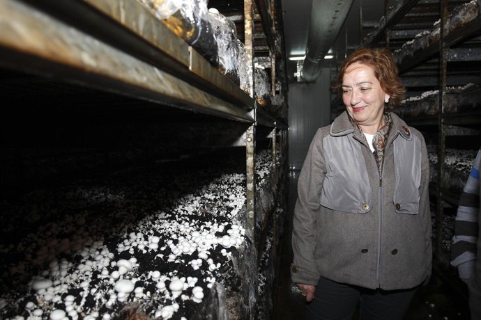 María Luisa Soriano