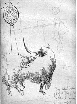 Dibujo De José Caballero Donado Al Museo Taurino De Córdoba