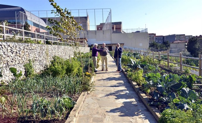 Huertos Finca Altamira 