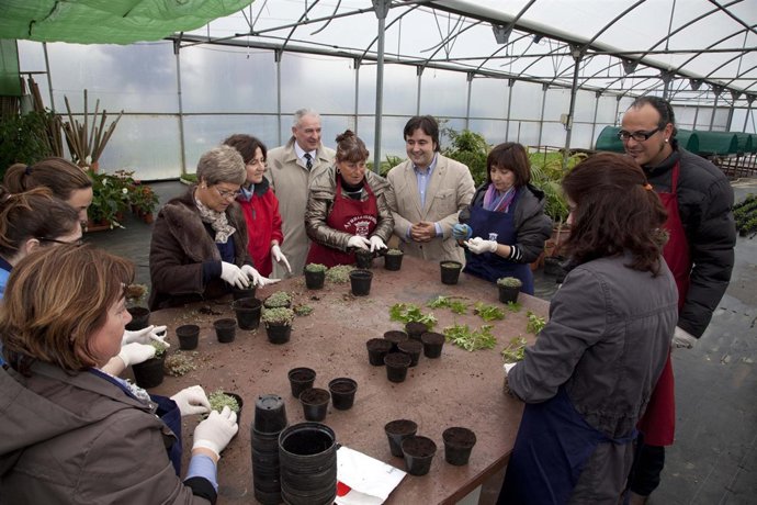 Cursos De Formación En Camargo 