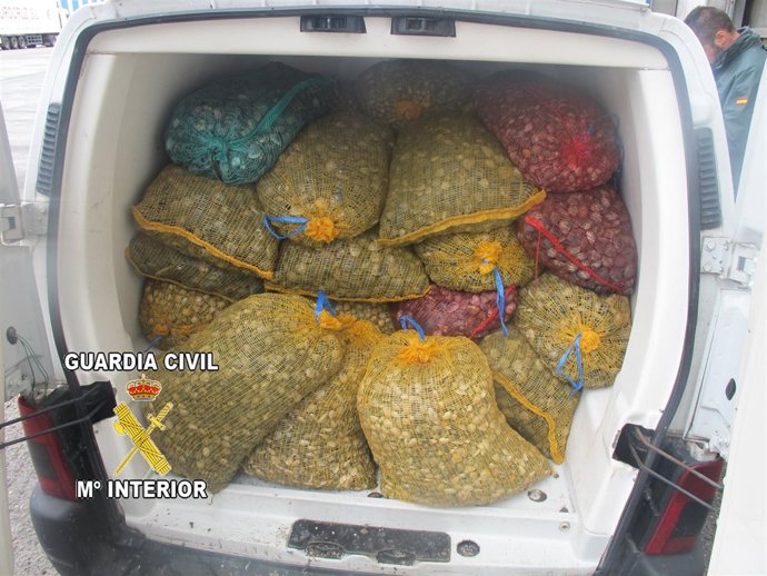 REMITIENDO COMUNICADO DE PRENSA