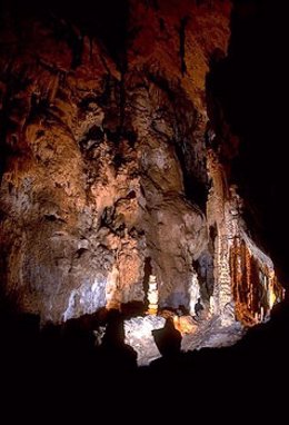 Cueva De La Garma
