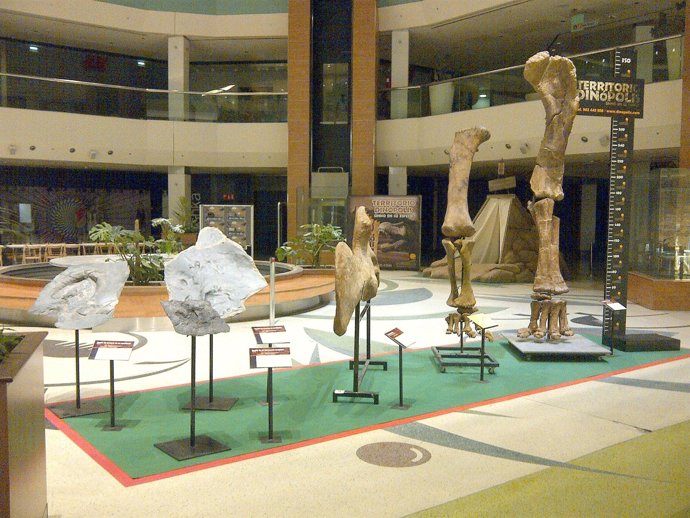 Sala Del Parque Paleontológico Dinópolis.