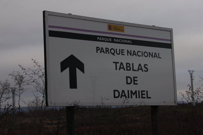 TABLAS DE DAIMIEL