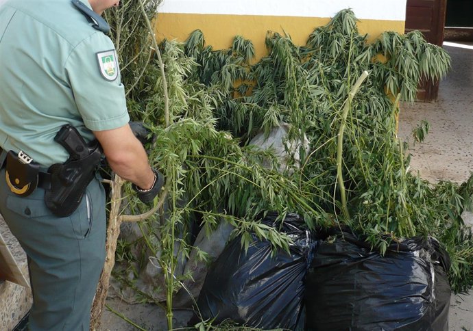 Incautada Droga En La Puebla De Los Infantes (Sevilla)