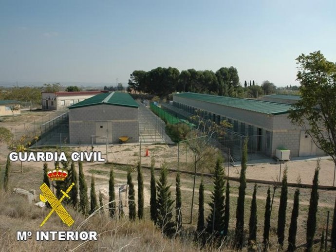 Centro Municipal De Protección Animal