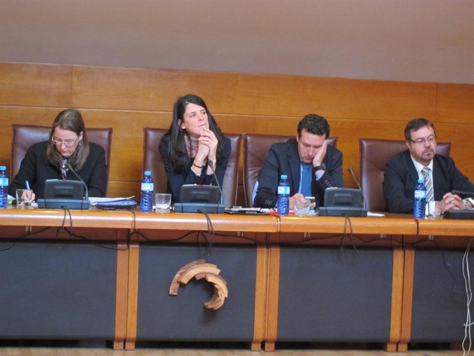 Leticia Díaz Comparece En El Parlamento 