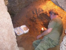Los Huevos De La Hembra Asmara De Dragón De Komodo