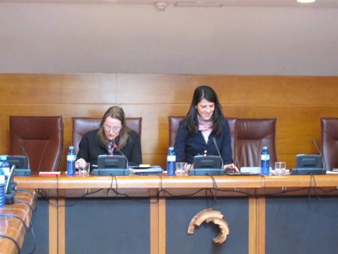 Leticia Díaz En El Parlamento 