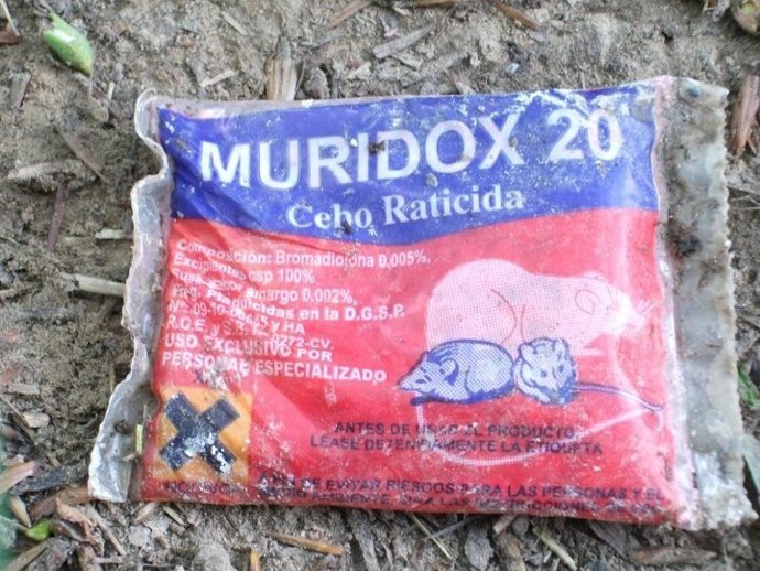 Bolsas Encontradas En La Ribera