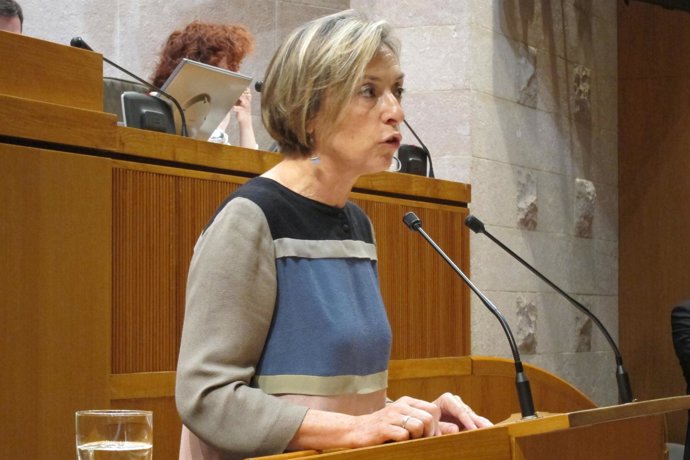 Nieves Ibeas , Durante Su Intervención En El Pleno