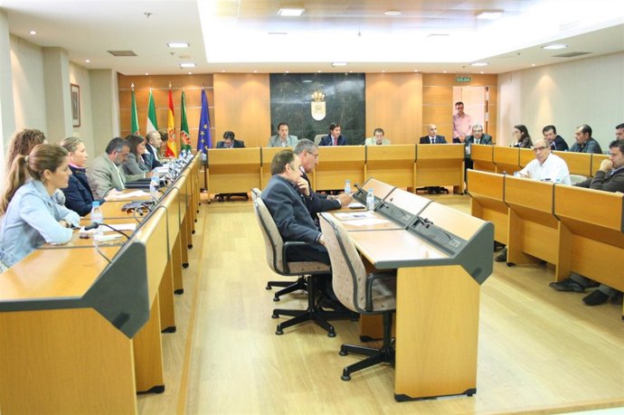 Pleno En El Ayuntamiento De El Ejido