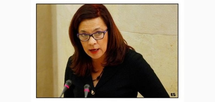 Matilde Ruiz, Diputada PRC 