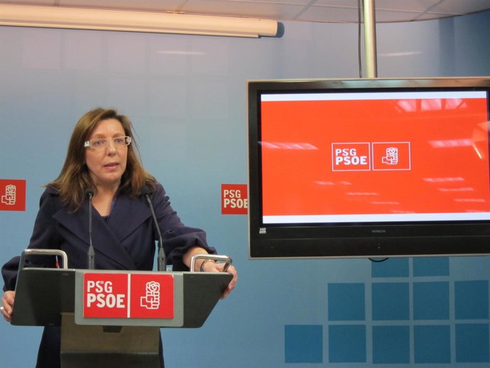 La Diputada Socialista Carmen Gallego