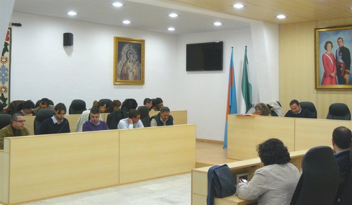 Pleno De Mairena Del Alcor.