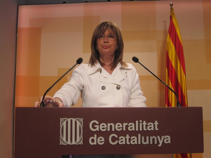 Irene Rigau, En El Consell Executiu