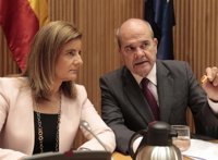 Economía/Laboral.- Báñez elude precisar si habrá rebaja de cotizaciones en 2013 y se remite al Programa de Estabilidad