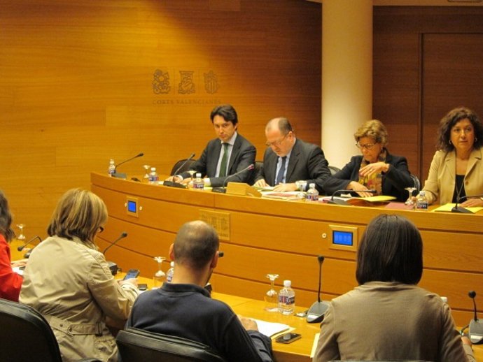 Mesa De La Comisión De Emarsa