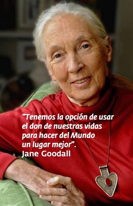Jane Goodall.