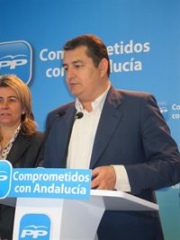 Sanz (PP) vaticina que Andalucía terminará 2012 con un nivel de endeudamiento de 25.000 millones de euros