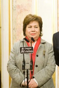 El Defensor del Pueblo acumula ya "algunas" peticiones de recurso de inconstitucionalidad contra los recortes en Sanidad