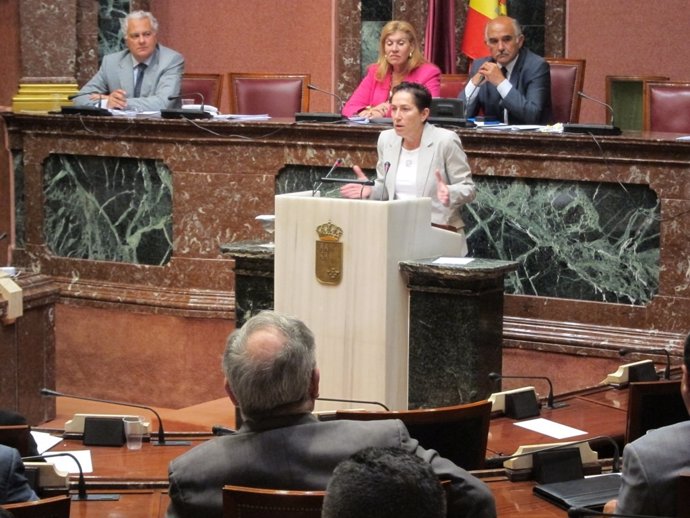 La Portavoz De Sanidad Del Grupo Parlamentario Popular, Catalina Lorenzo