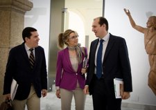 Nevado, Teniente Y Carrón