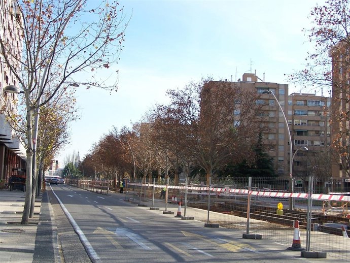 Árboles En Eje Tranvía En Avenida María Zambrano