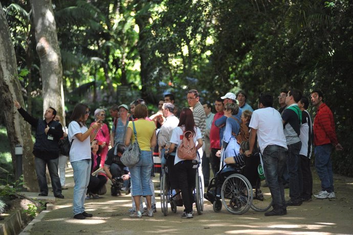 Visitas del programa 'Málaga accesible' del Ayuntamiento