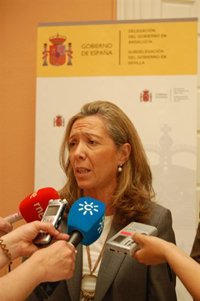 La Subdelegación defiende que ha denegado al 15M una "concentración de carácter indefinido"