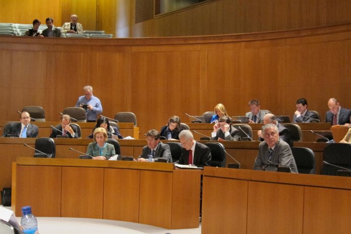 Sesión Plenaria De Las Cortes