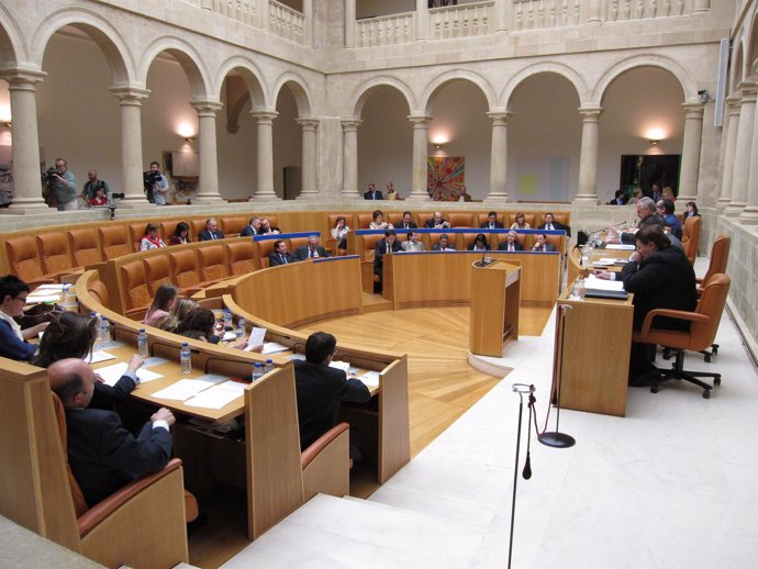 Pleno Parlamento De La Rioja