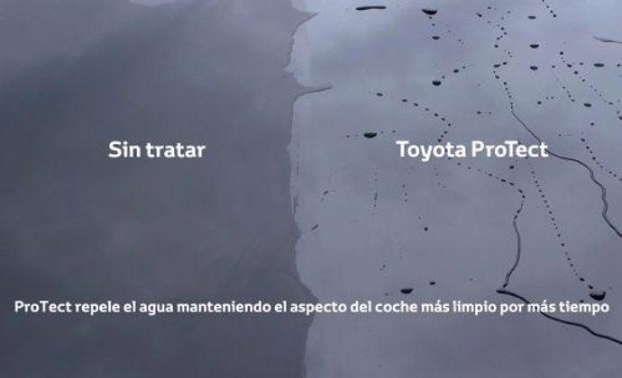 Toyota Protect