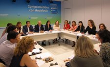 Javier Arenas Preside La Reunión Sobre Políticas Sociales