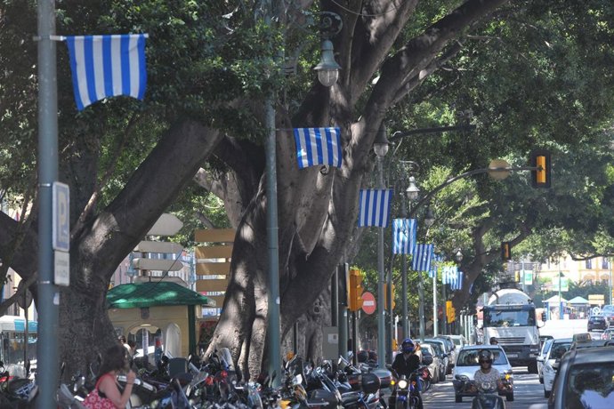 Málaga se engalana con banderas fútbol champions