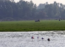 Parque Natural de Doñana