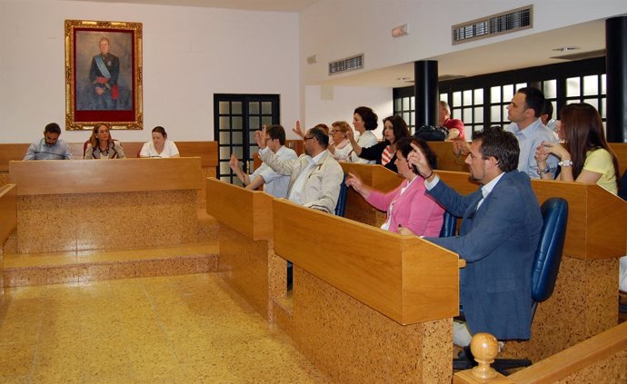 Pleno Del Ayuntamiento De Lebrija.