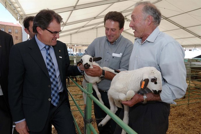 Artur Mas En La Feria De Sant Isidre De Solsona (Lleida)    