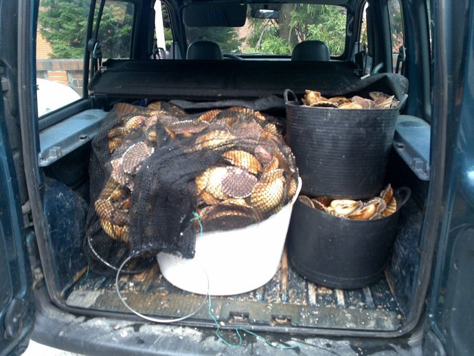 TRES OPERATIVOS CONXUNTOS DÁN COMO RESULTADO O COMISO DE MÁIS DE 2 TONELADAS DE 