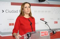 PSOE: "Si no cambiamos el calendario de ajustes, vamos a tener unos presupuestos que nos van a llevar a la ruina"