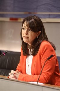 El PSOE exigirá garantías de recuperación del dinero público 